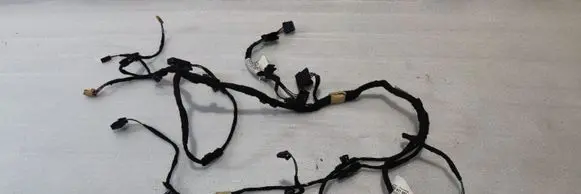 Other wiring loom