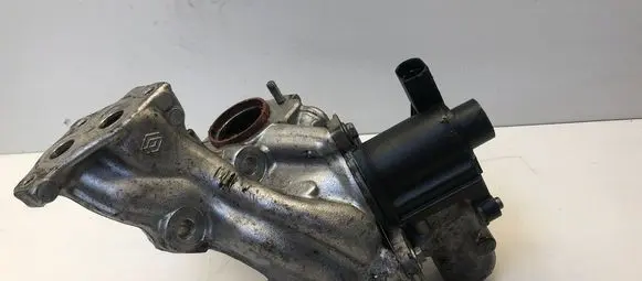 Renault Scenic III - Grand scenic III EGR valve 7003680600