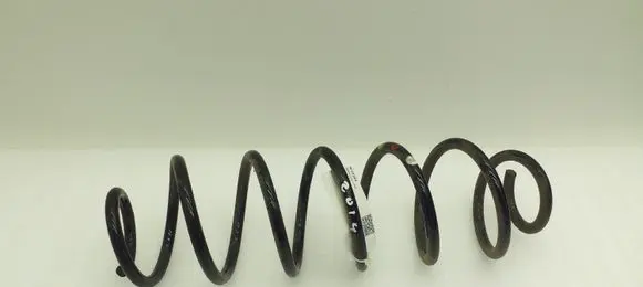 Citroen C4 Cactus Rear coil spring