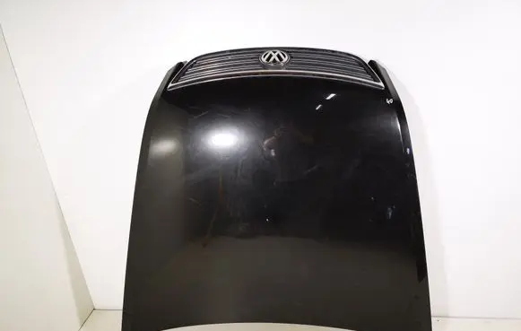 Volkswagen Phaeton Engine bonnet/hood 