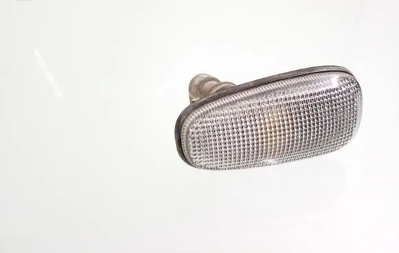Front fender indicator light