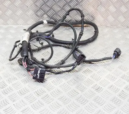 Other wiring loom