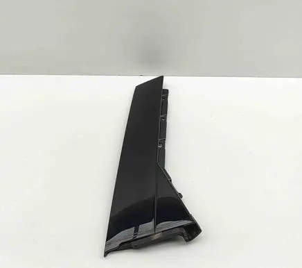 Rear door glass trim molding
