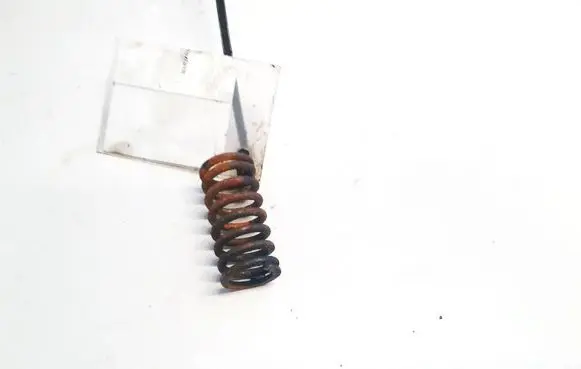 Peugeot 407 Valve spring 