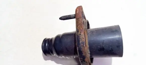 Coil spring mount