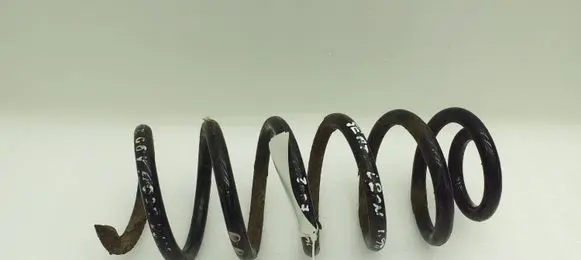 Seat Leon (1P) Rear coil spring