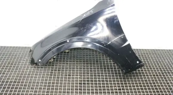 Mitsubishi Pajero Fender