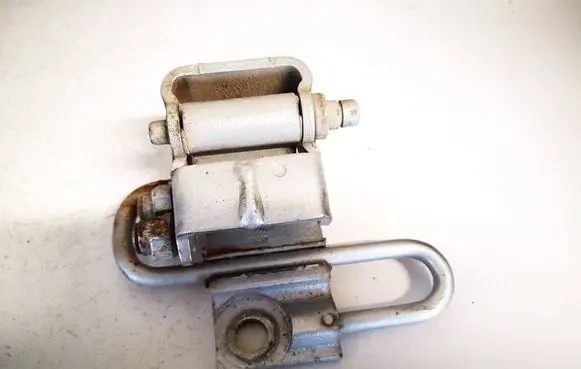 Rear door lower hinge
