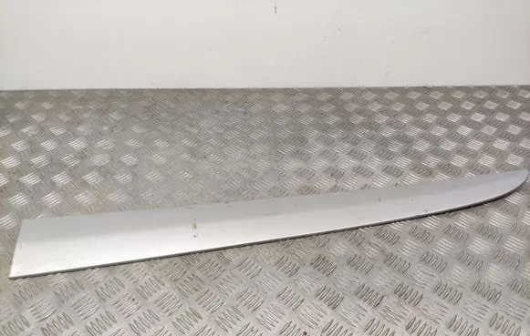 Front door trim (molding)