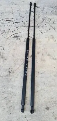 Tailgate strut