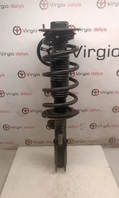 Chevrolet Captiva Front shock absorber with coil spring SA010B004 11K133751DA 20945998