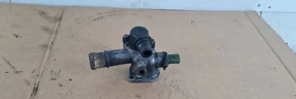 Thermostat/thermostat housing