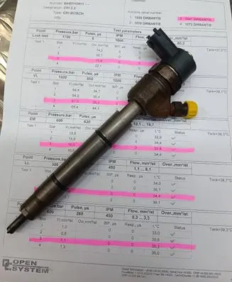 KIA Sportage Fuel injector 0445110411 338002A800
