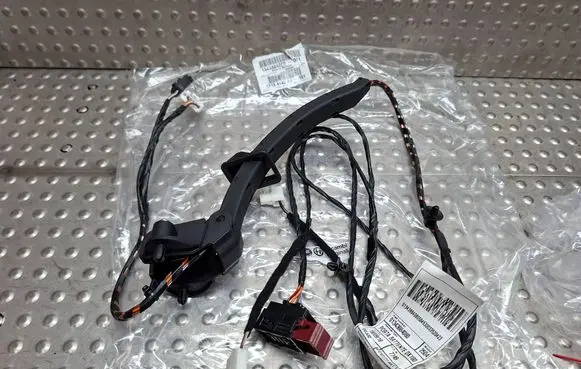 Rear door wiring loom