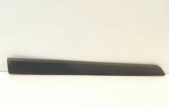 Renault Kangoo II Sliding door trim (molding) 8200439118