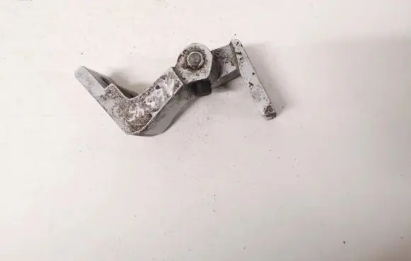 Rear door lower hinge