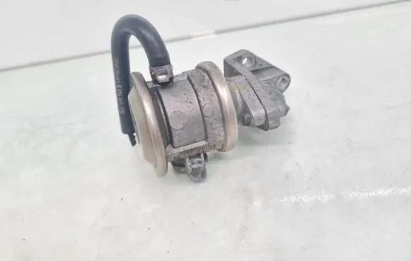 EGR valve