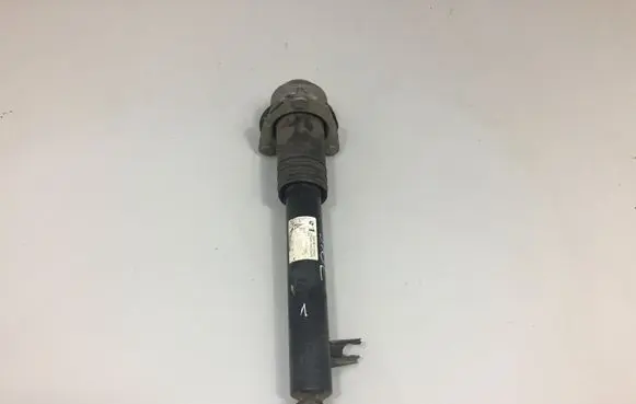 BMW X5 E70 Rear shock absorber/damper 6781927