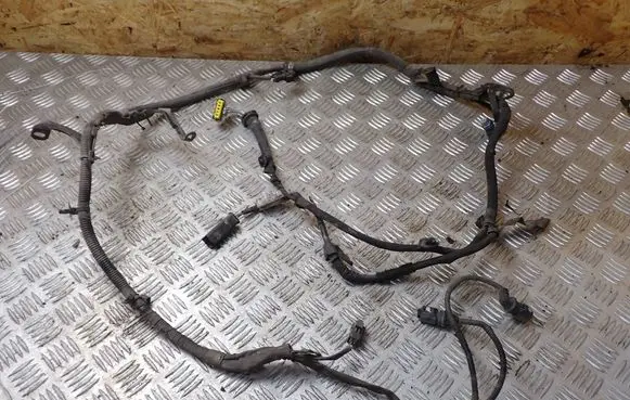 Citroen DS3 Wires (generator/alternator) 9674808580 0111110105