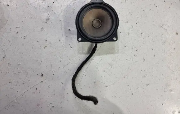 Rear door speaker