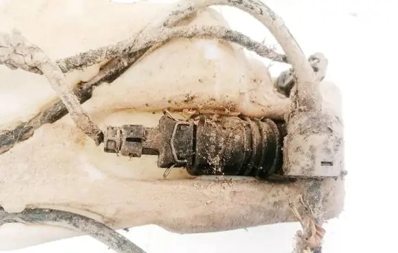 Windscreen/windshield washer pump