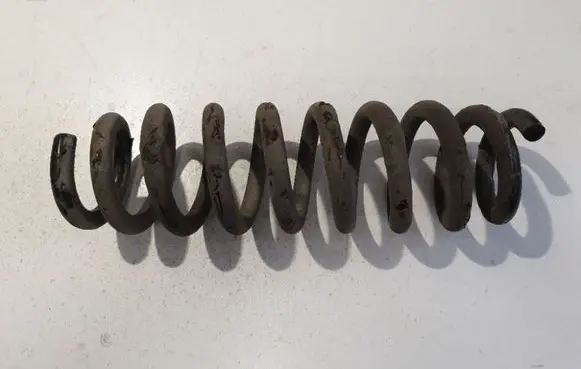 Rear coil spring