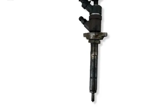 Citroen C4 I Picasso Fuel injector 0445110239