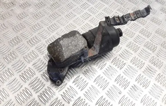 Peugeot 206 Oil filter mounting bracket 9656969880