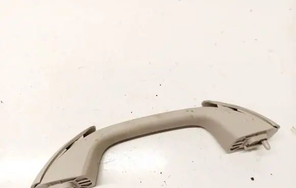 Dacia Sandero Front interior roof grab handle T0000177084