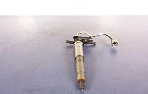 Renault Espace - Grand espace IV Fuel injector 804554BH82409395
