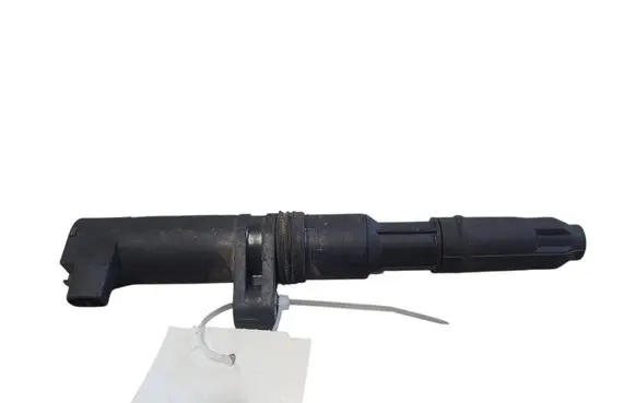 Renault Espace - Grand espace IV High voltage ignition coil 0040100052 2303590382
