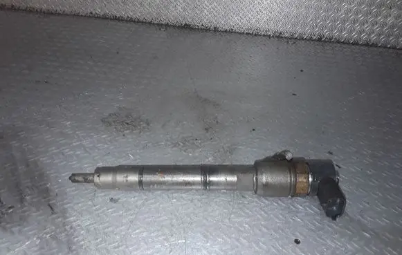 Hyundai i30 Fuel injector 0445110256