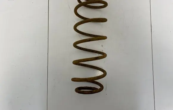 Renault Laguna II Rear coil spring 7700416117 8438670 996663