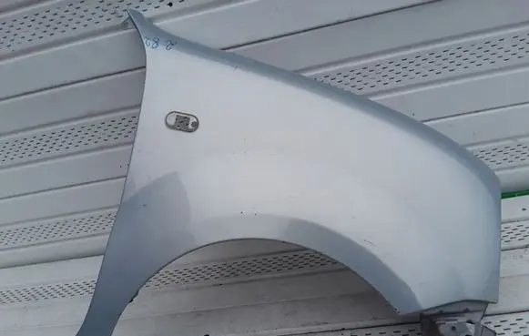Renault Kangoo I Fender