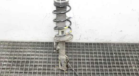 Ford Ecosport Front shock absorber/damper FN1C18045AB