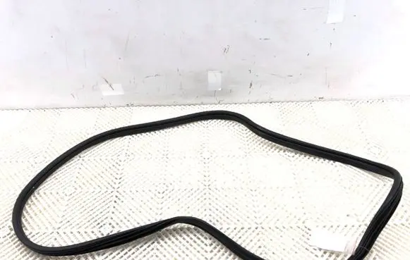 Hyundai Elantra VII Rubber seal front door (on door) 