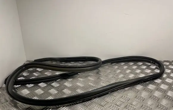 Toyota Avensis T270 Front door rubber seal 