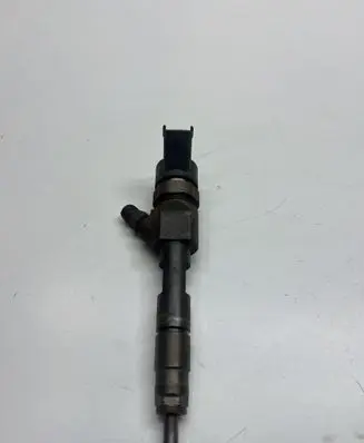 Renault Scenic I Fuel injector 0445110230