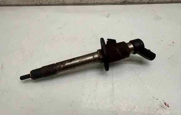Land Rover Range Rover Sport L320 Fuel injector 6H4Q9K546EB