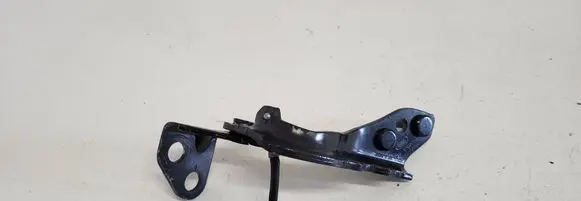 Land Rover Range Rover Evoque L538 Tailgate/trunk/boot hinge GJ3242901 D36XA