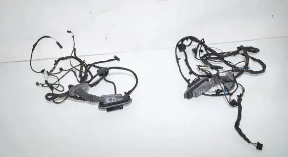 BMW 5 GT F07 Front door wiring loom 9291358 9291343 9320299