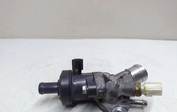 Thermostat/thermostat housing