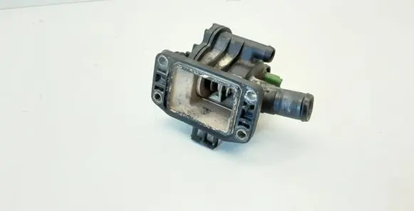 Thermostat/thermostat housing