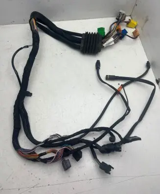 Front door wiring loom