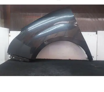 Fiat Doblo Fender