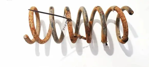 Ford S-MAX Rear coil spring