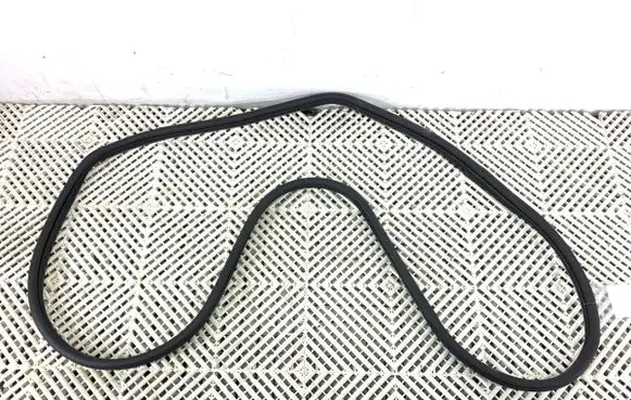 Hyundai Kona II Rubber seal front door (on door) 