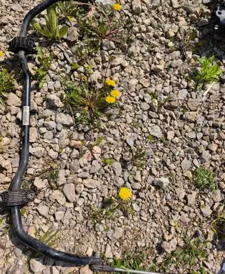 BMW X1 F48 F49 Front anti-roll bar/sway bar 6853914
