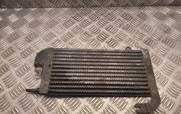 Opel Vivaro Fuel cooler (radiator) 175104049r 93868458