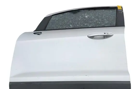 Ford Ecosport Front door 